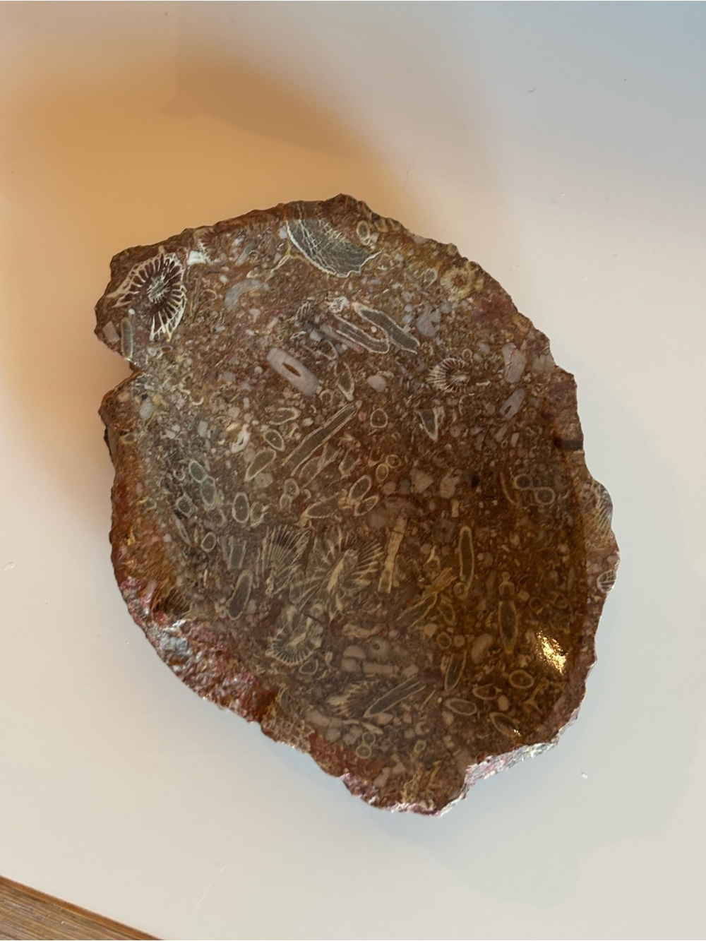 Fossil Stone Trinket Dish / Decorative Catchall Bowl